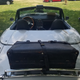 That ancient trunk has to be at least three times as old as the car.